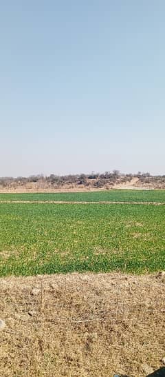 330 Knal Agriculture Land For Sale In Dullah 0