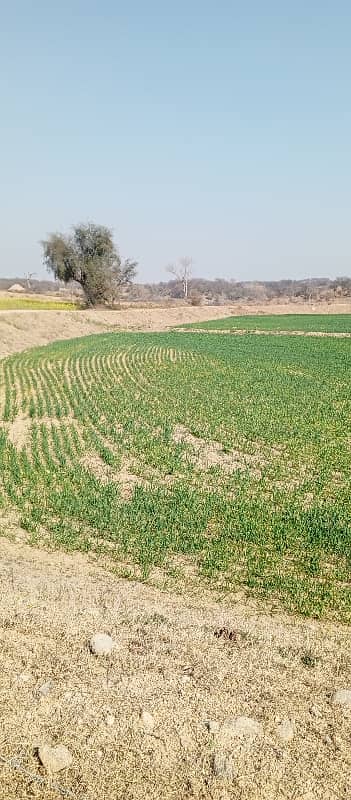 330 Knal Agriculture Land For Sale In Dullah 4