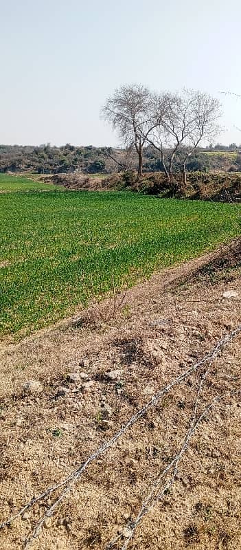 330 Knal Agriculture Land For Sale In Dullah 5