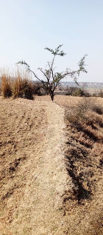 330 Knal Agriculture Land For Sale In Dullah 9