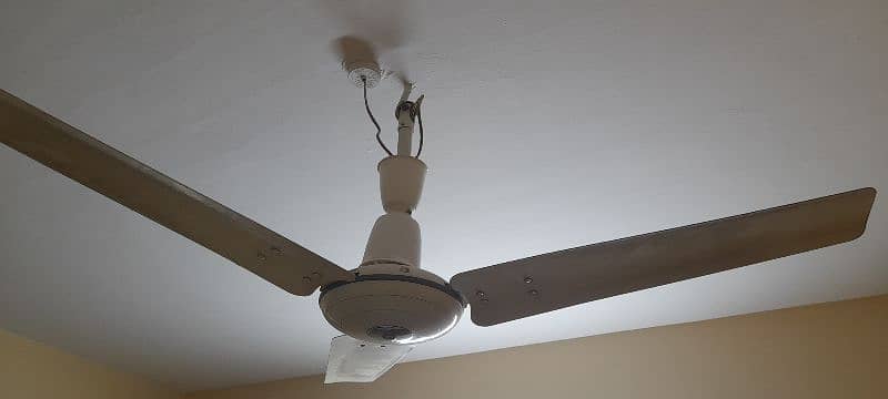 Fan For Sale 2