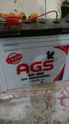 11 plates AGS sp100