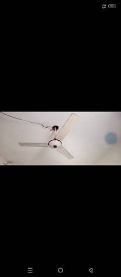 ceiling fan one year almost
