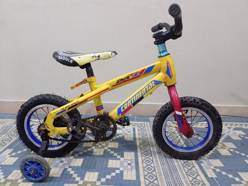 continental DRZ 4-6 years 1