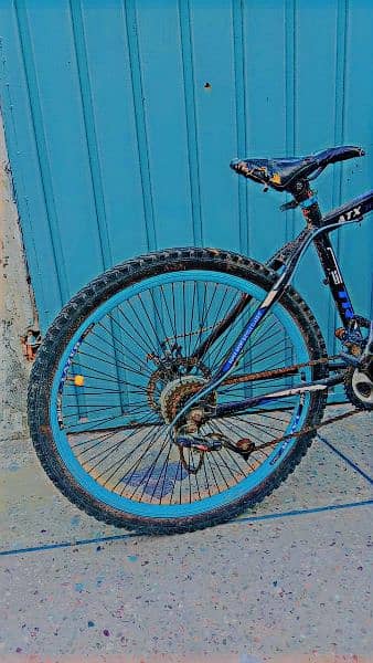 Japani LAZER bicycle urgent for sale 1