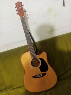 Semi Acoustic Professional Guitar