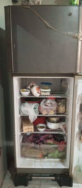 pell fridge 3