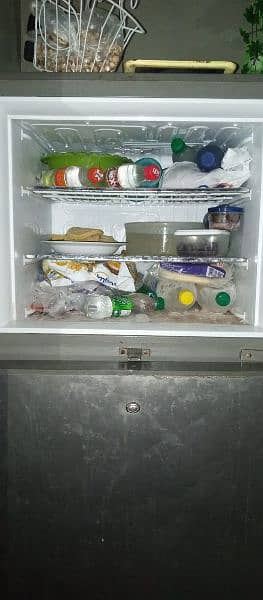 pell fridge 4