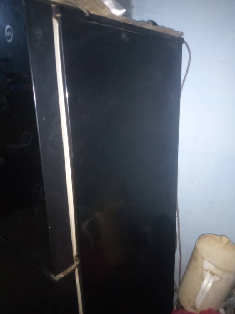 PEL-120 Glass Door Refrigerator 0