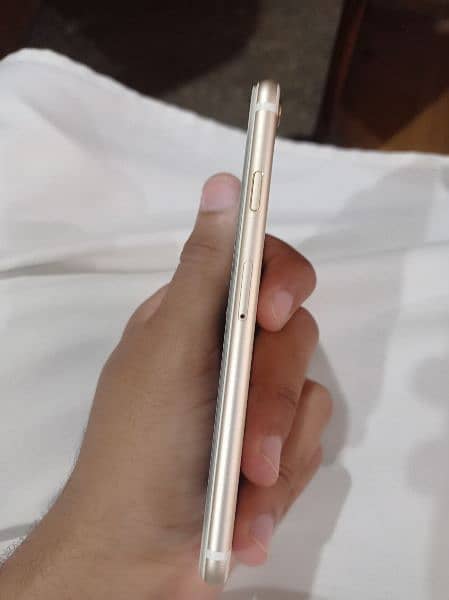 iPhone 6 pta approved 1