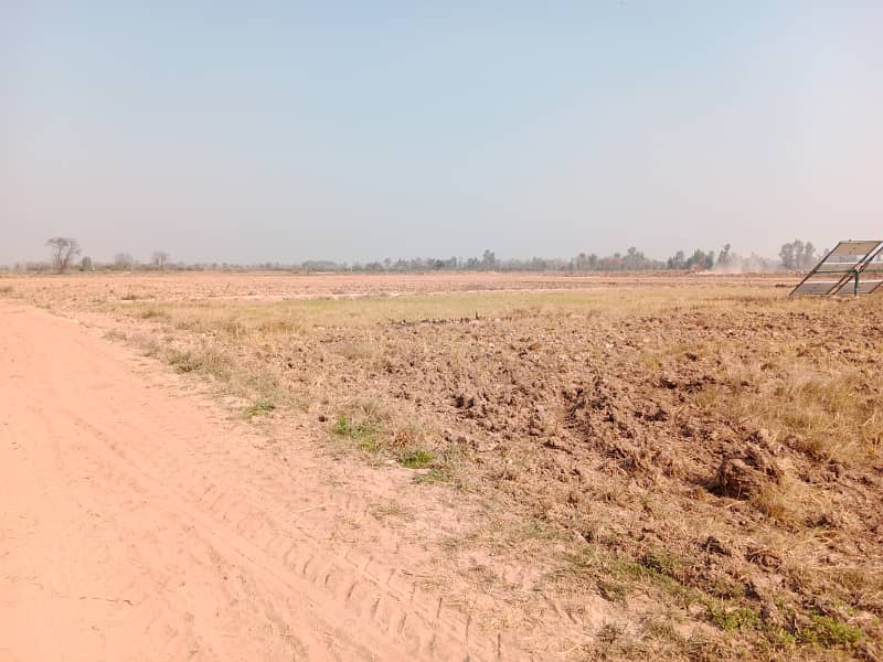 Agriculture Land Sale Urgent 110 Ft Front On Road 7