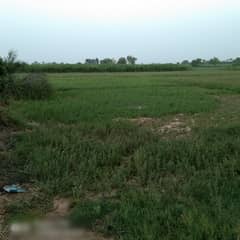 Agriculture Land For Sale Urgent Chak 87 Nb