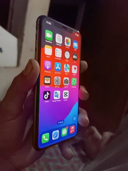 iPhone Xs Max 256 GB water pack 2
