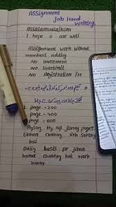 Assignment hand writing low rate 1