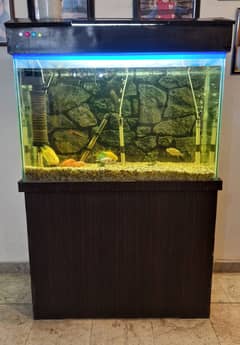 Aquarium wih Fishes