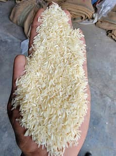 rice 1121 on your door step top quality granted