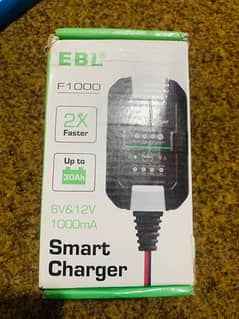 Smart Battery Charger 0
