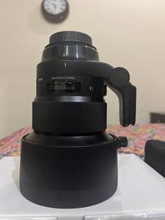 PORTRAIT BEAST SIGMA 105 Lens Canon mount