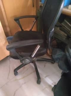 executive