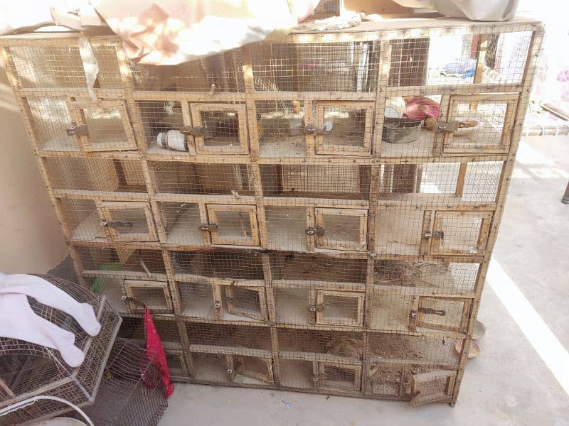 16 portion cage urgent for sale,03465719201 whatsaap 1