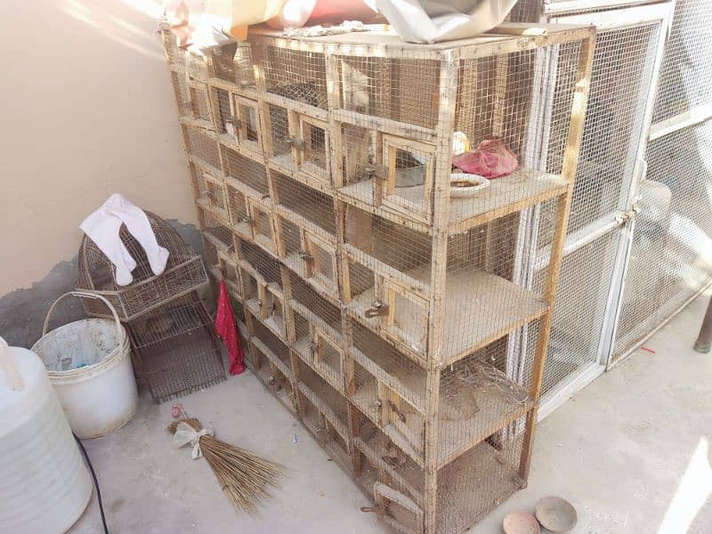 16 portion cage urgent for sale,03465719201 whatsaap 2