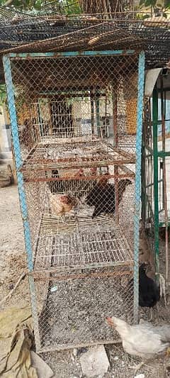 Used Cages for Dogs/peogen/hens eyc