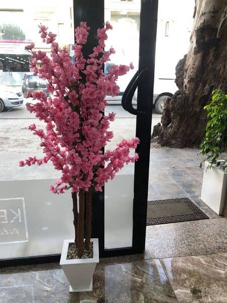 giant vases and cherry blossom 5