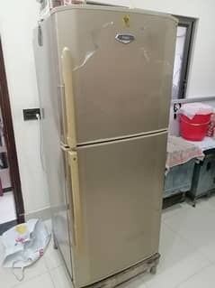 Haier Refrigerator 10/10 Condition 0