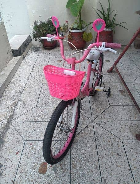 Barbie cycle 1