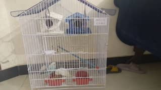 sale cage with parrots free