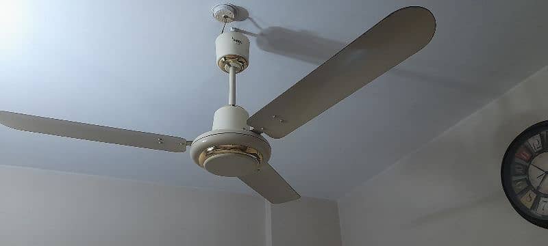 Fan For Sale 5