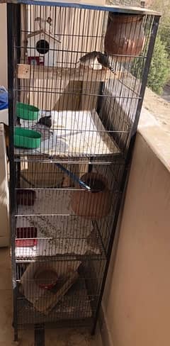 pinjra/ cage for parrots