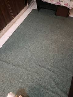 plain green carpet