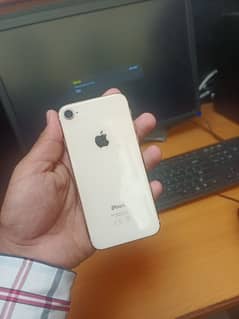 Iphone 8 Pta Approved
