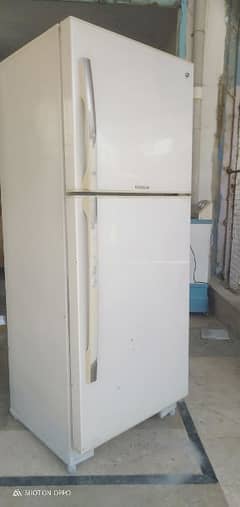 PEL full size refrigerator 0