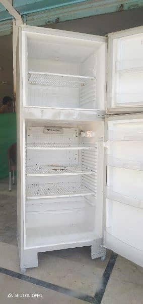 PEL full size refrigerator 5