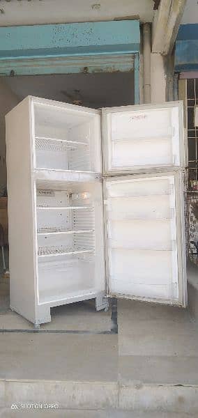 PEL full size refrigerator 6