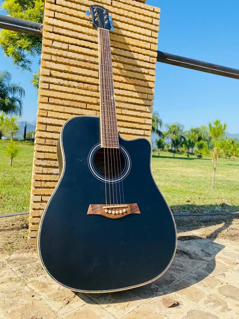 Yamaha Fender Taylor Martin Kapok Dean Deviser Acoustic Semi Guitars 18