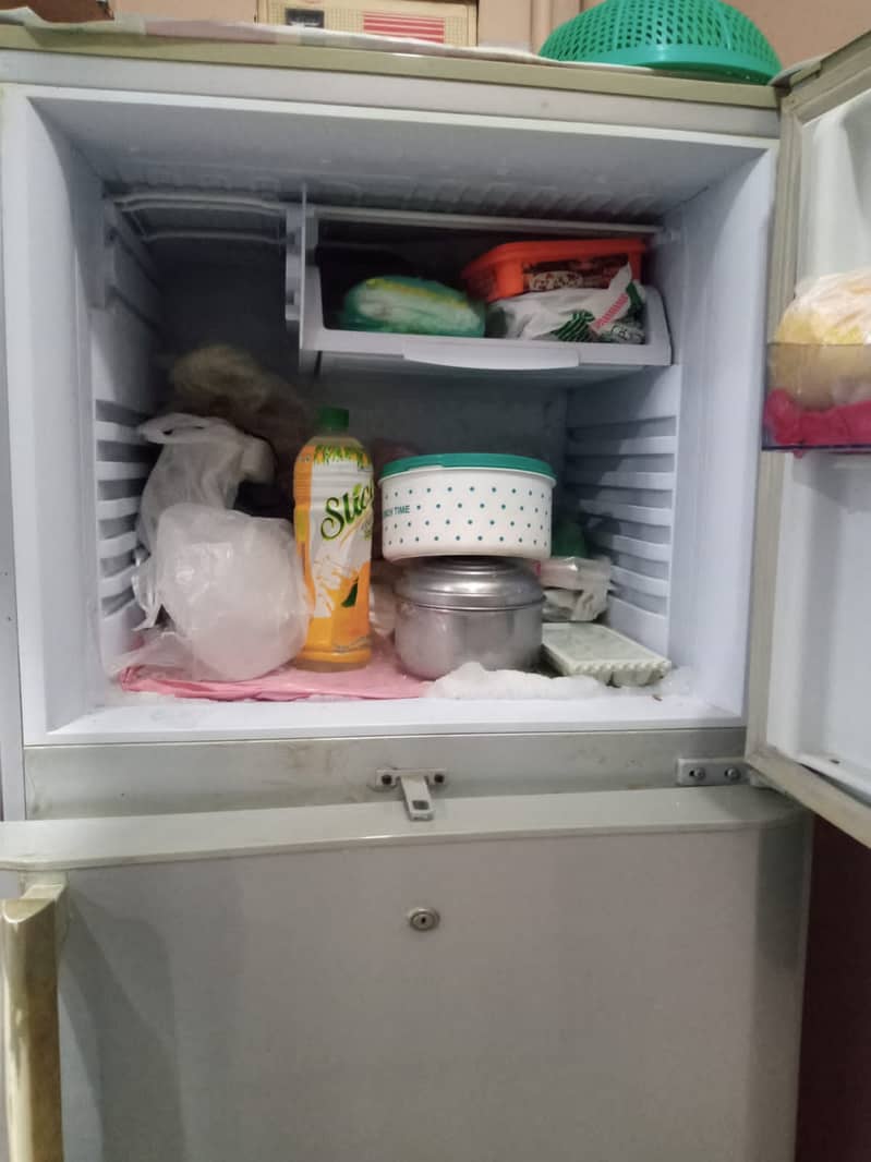 Pel refrigerator 2