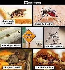 Termite/Pest control treatment/deemak control service/spray fumigation 2