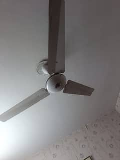 used celling fan in perfect condition