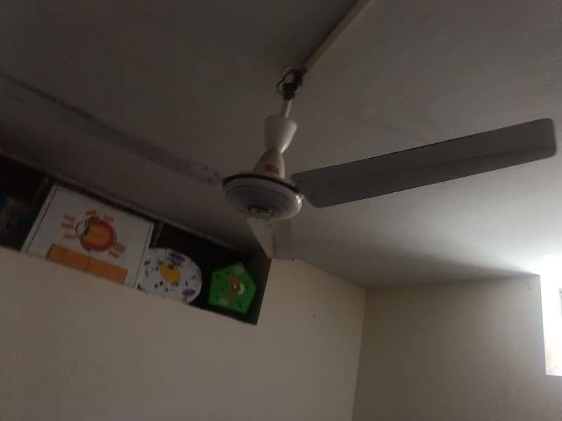 used celling fan in perfect condition 1