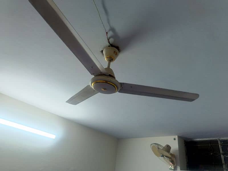 used celling fan in perfect condition 2