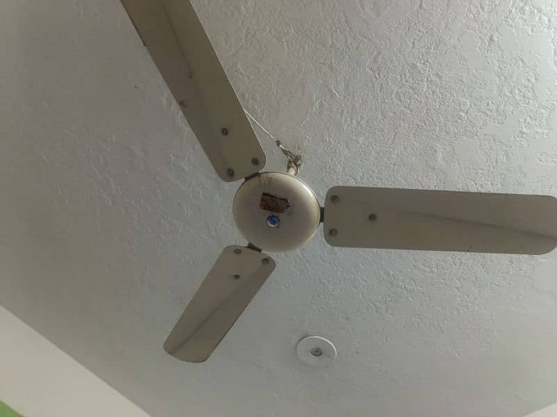 used celling fan in perfect condition 3