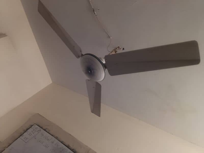 used celling fan in perfect condition 4