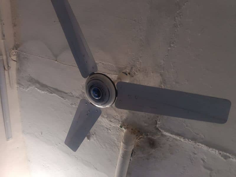 used celling fan in perfect condition 6