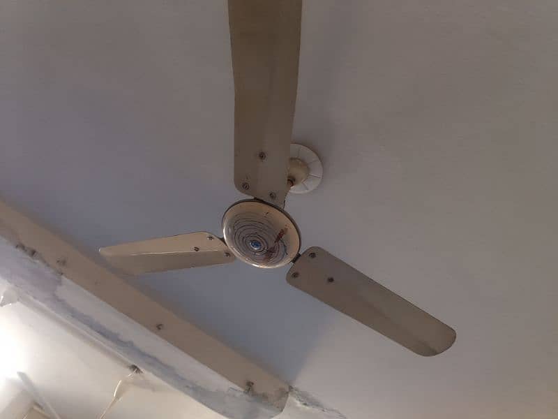 used celling fan in perfect condition 9
