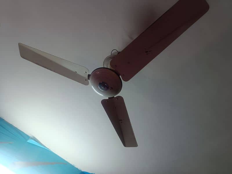 used celling fan in perfect condition 10
