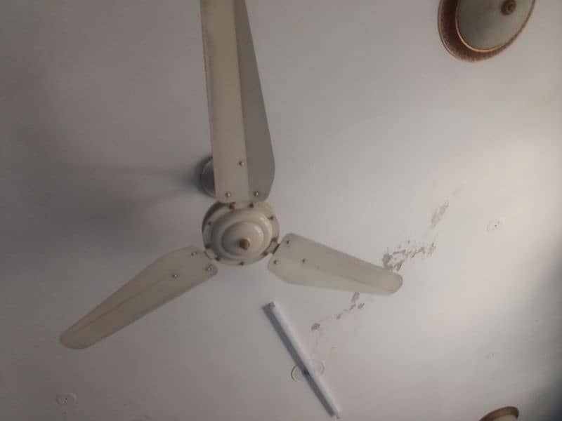 used celling fan in perfect condition 12