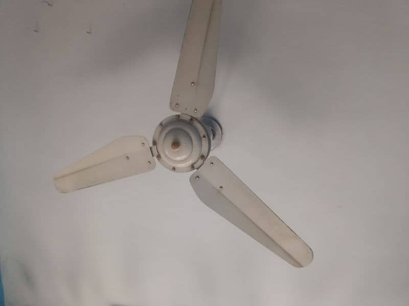 used celling fan in perfect condition 13